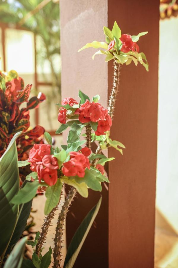 プレヤデルカーメン Casa Saabアパートホテル エクステリア 写真